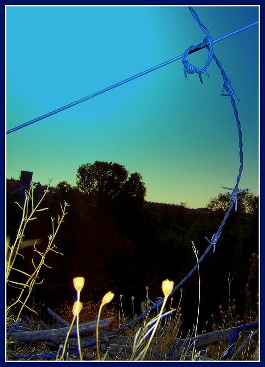 RESISTENCIA Nanim Rekacz.jpg